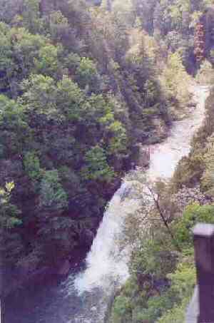 Tallulah Falls State Park, GA. Photo by Lisette Keating, 4/24/04